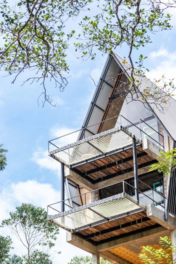 Wild Bee Hostel เอลลา ภายนอก รูปภาพ