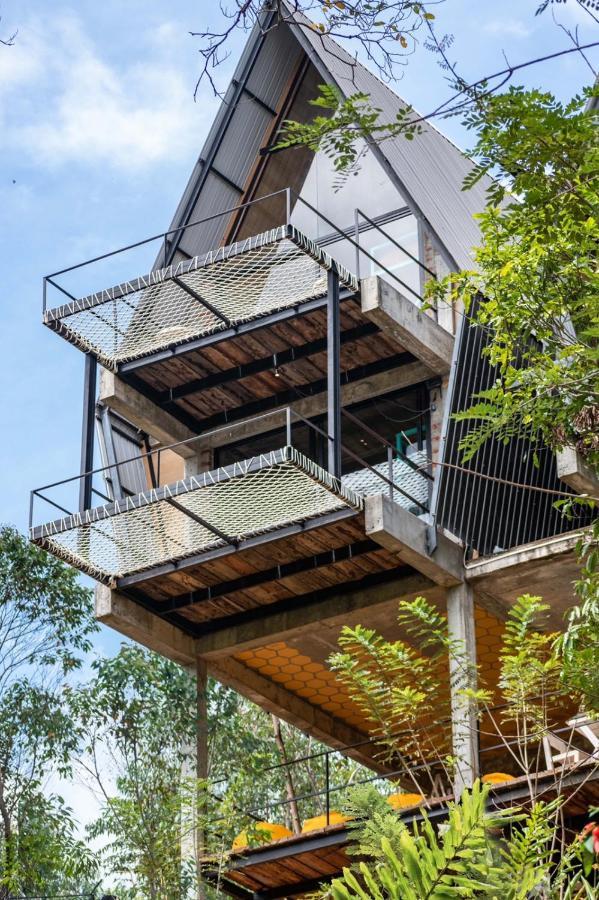 Wild Bee Hostel เอลลา ภายนอก รูปภาพ