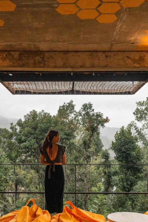 Wild Bee Hostel เอลลา ภายนอก รูปภาพ