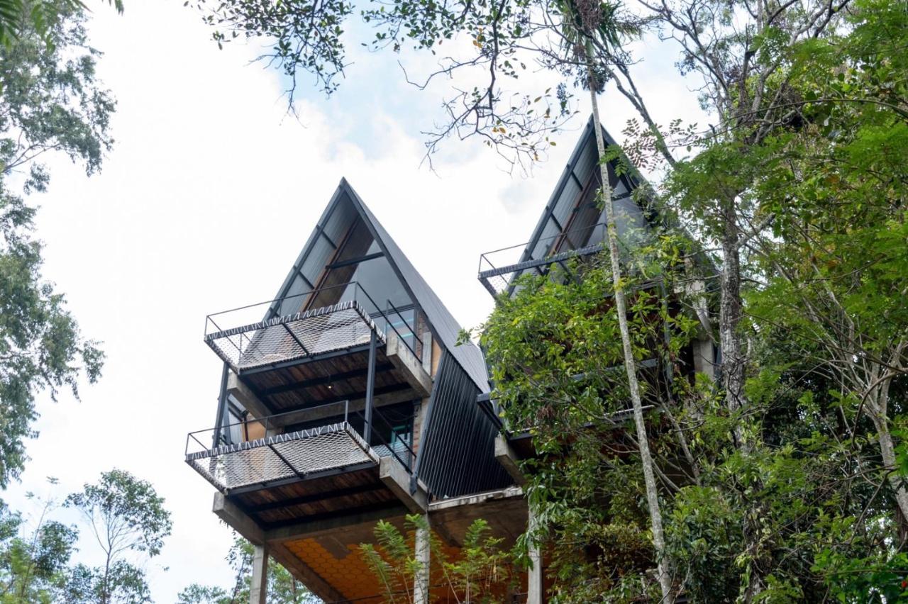 Wild Bee Hostel เอลลา ภายนอก รูปภาพ