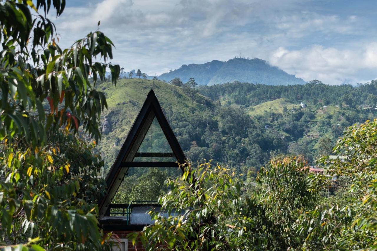 Wild Bee Hostel เอลลา ภายนอก รูปภาพ