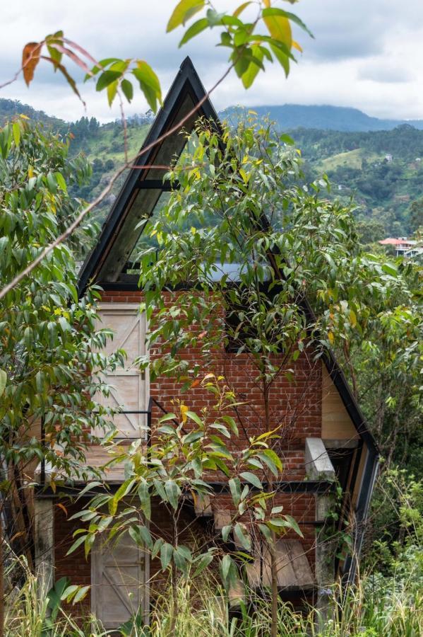Wild Bee Hostel เอลลา ภายนอก รูปภาพ